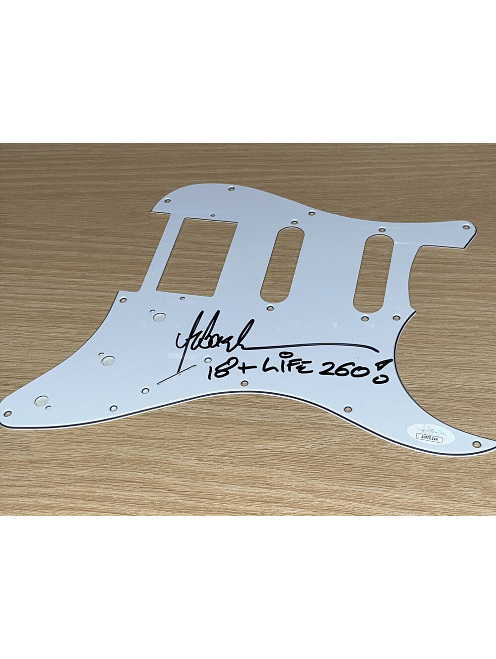 Sebastian Bach Autographed Pickguard,  Skid Row JSA COA, White